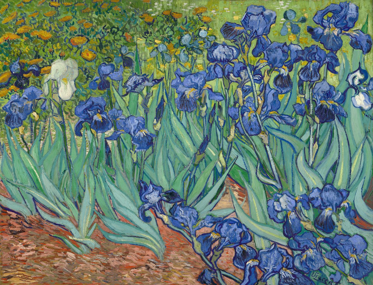 Irises by Vincent van Gogh - Famous Art Reproduction