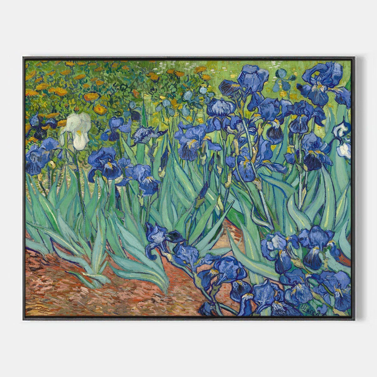 Irises by Vincent van Gogh - Famous Art Reproduction - ARABELART